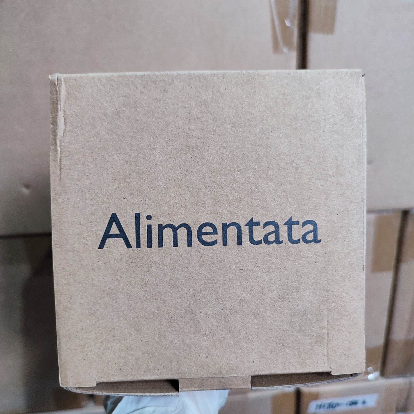 Alimentata Bedside Lamp