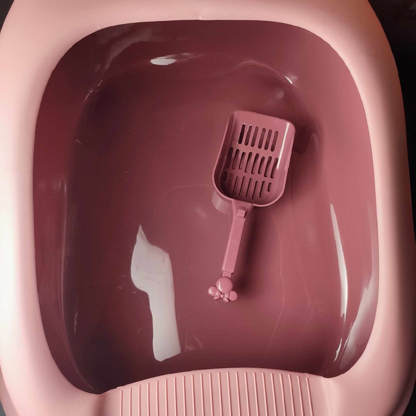 Cat Litter Box with Litter Scoop