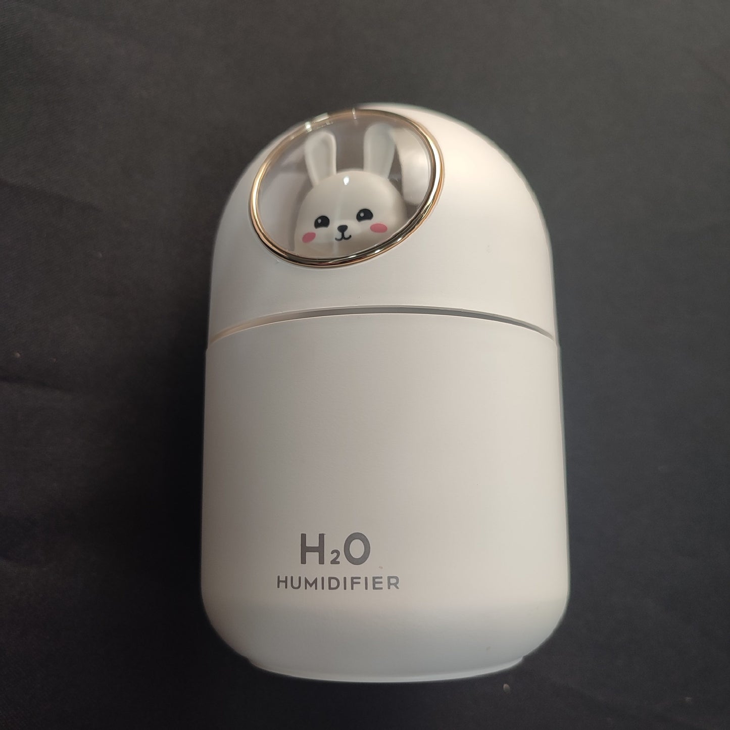 Q807 H2O Humidifier 300mL - White