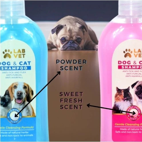 Lab Vet Dog & Cat Shampoo 500ml - Powder Scent