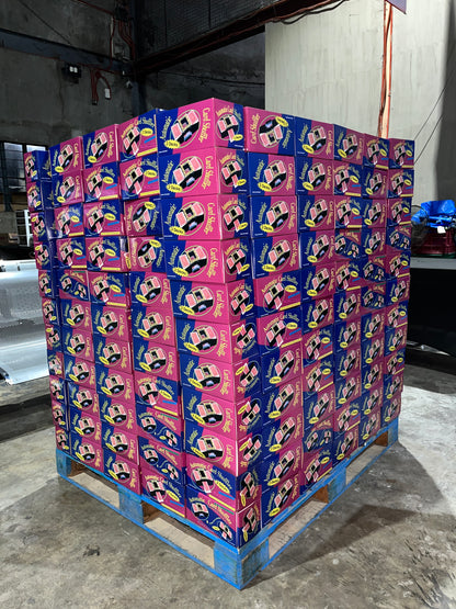 Automatic 2 Decks Card Shuffler