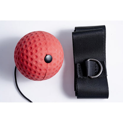 Boxer Reflex Fighting Ball Boxing Speed Ball