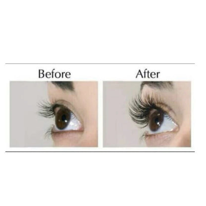 Castor Seed Oil Eyelash and Eyebrow Grower 12ml
